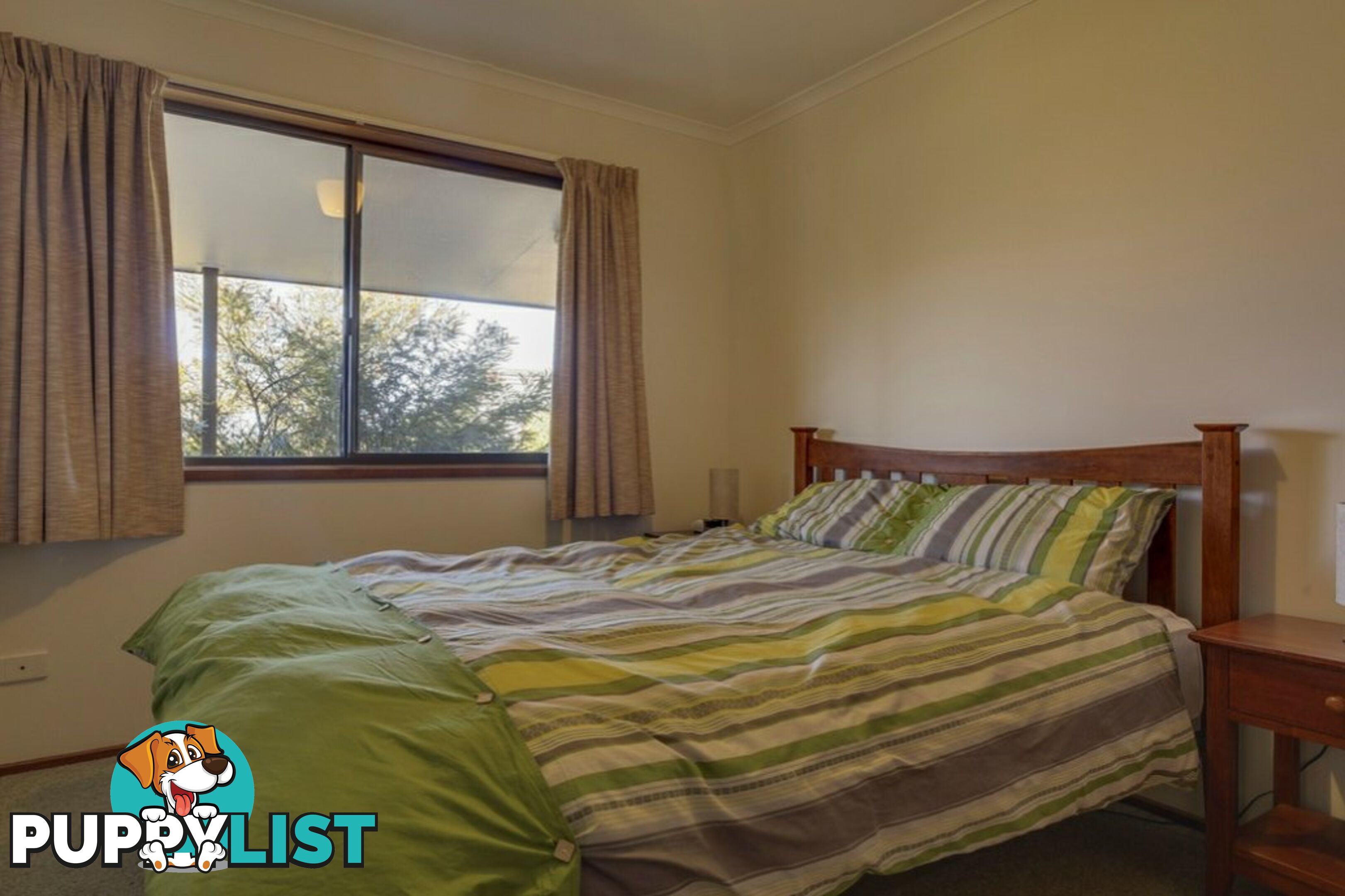 21 Allen Street BICHENO TAS 7215