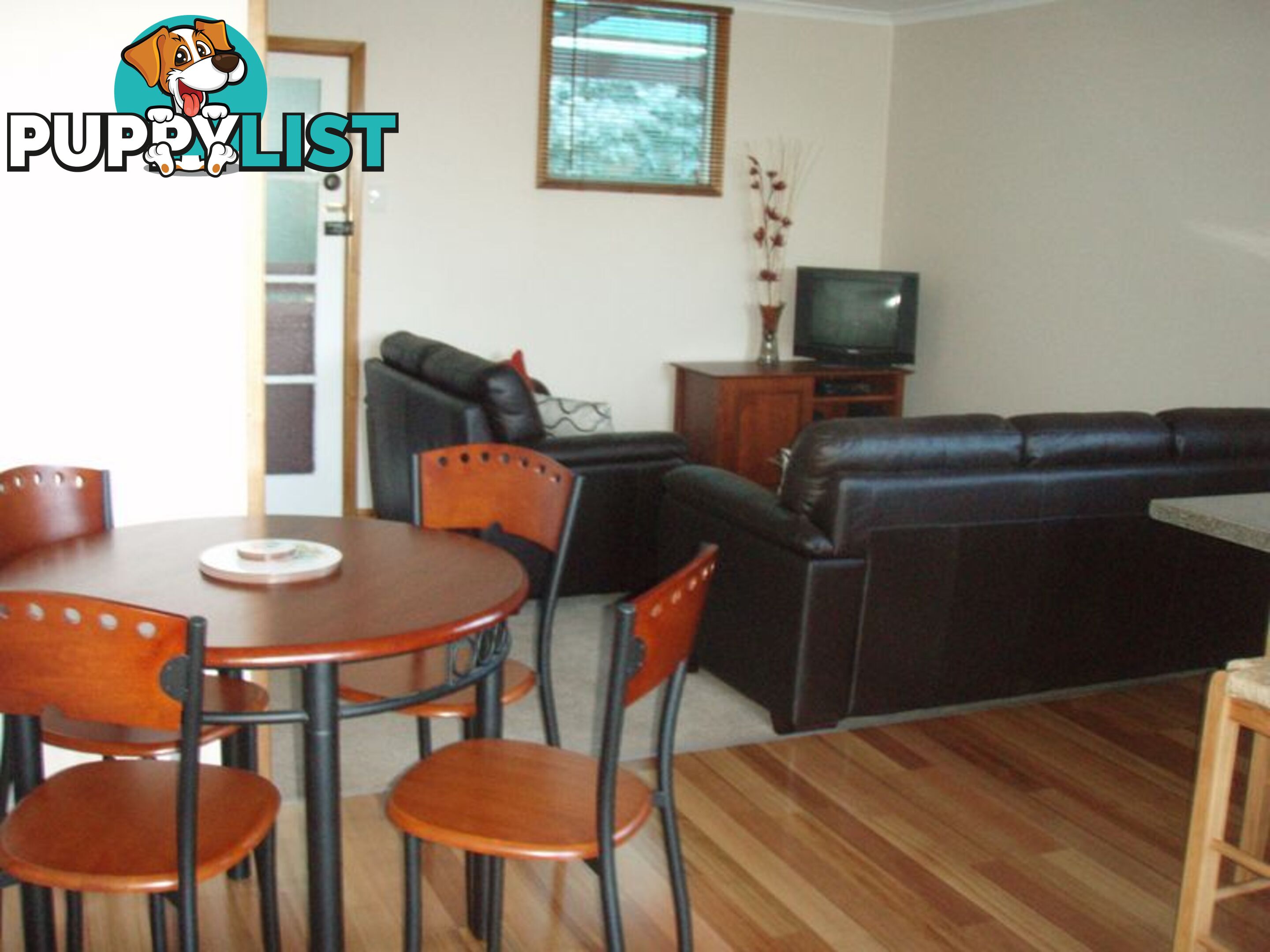 6 Burgess Street BICHENO TAS 7215