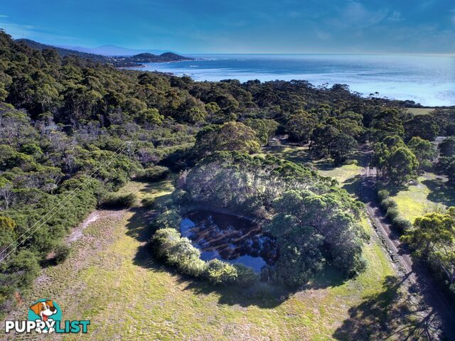 248 Harveys Farm Road BICHENO TAS 7215