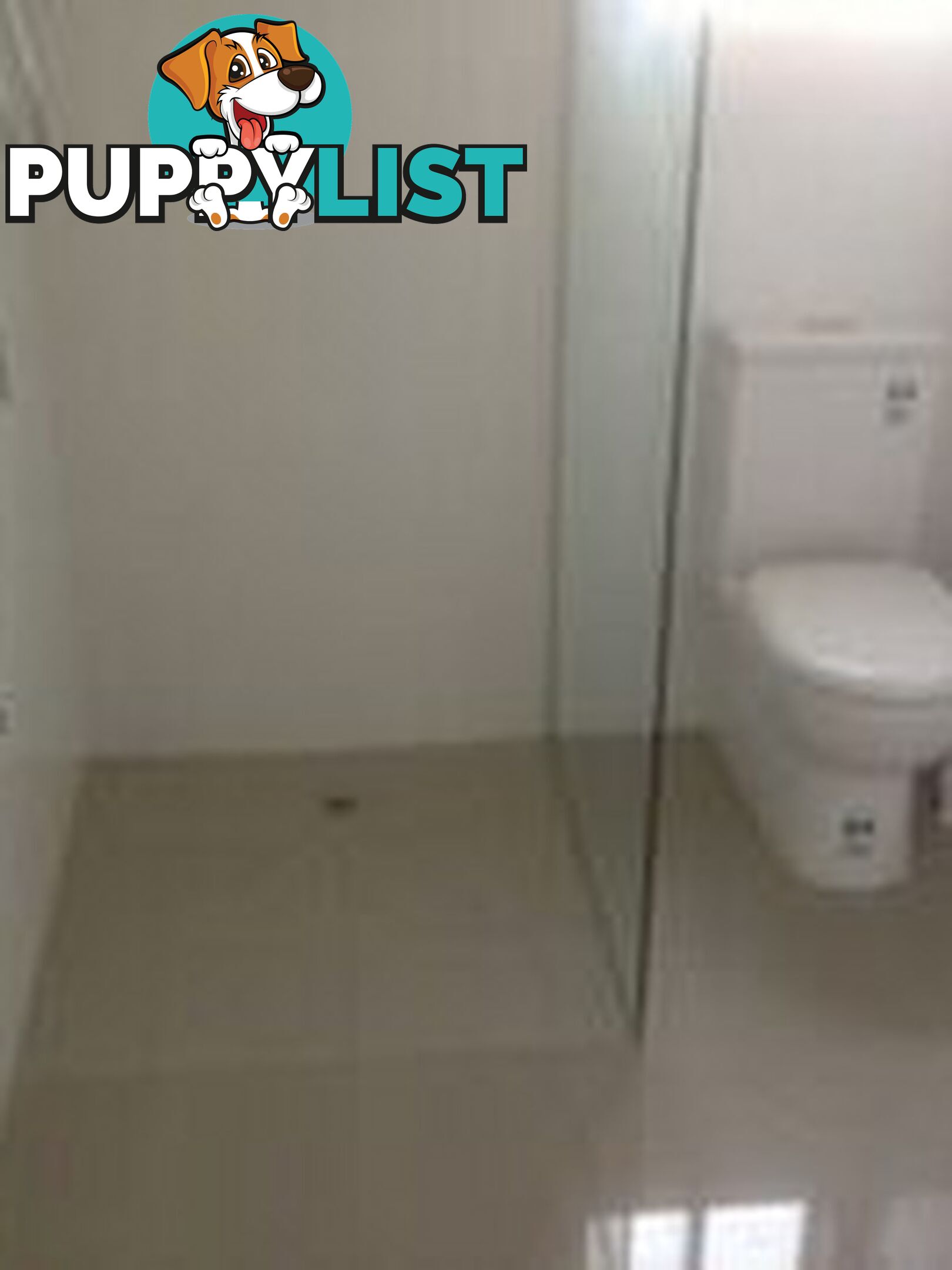 7 Fraser Street BICHENO TAS 7215