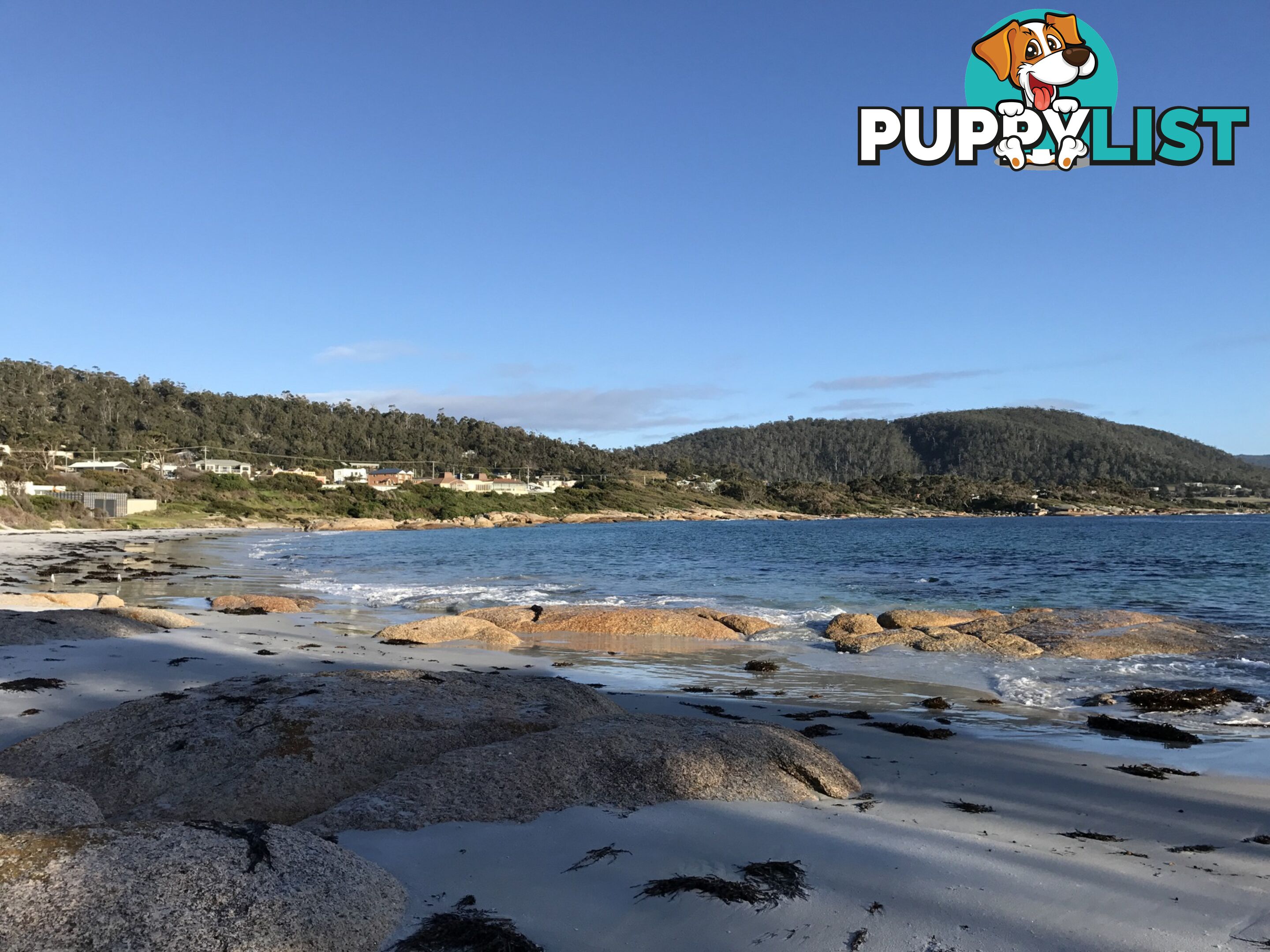 7 Fraser Street BICHENO TAS 7215