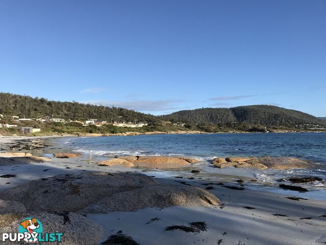 7 Fraser Street BICHENO TAS 7215