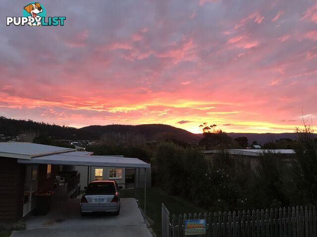 7 Fraser Street BICHENO TAS 7215