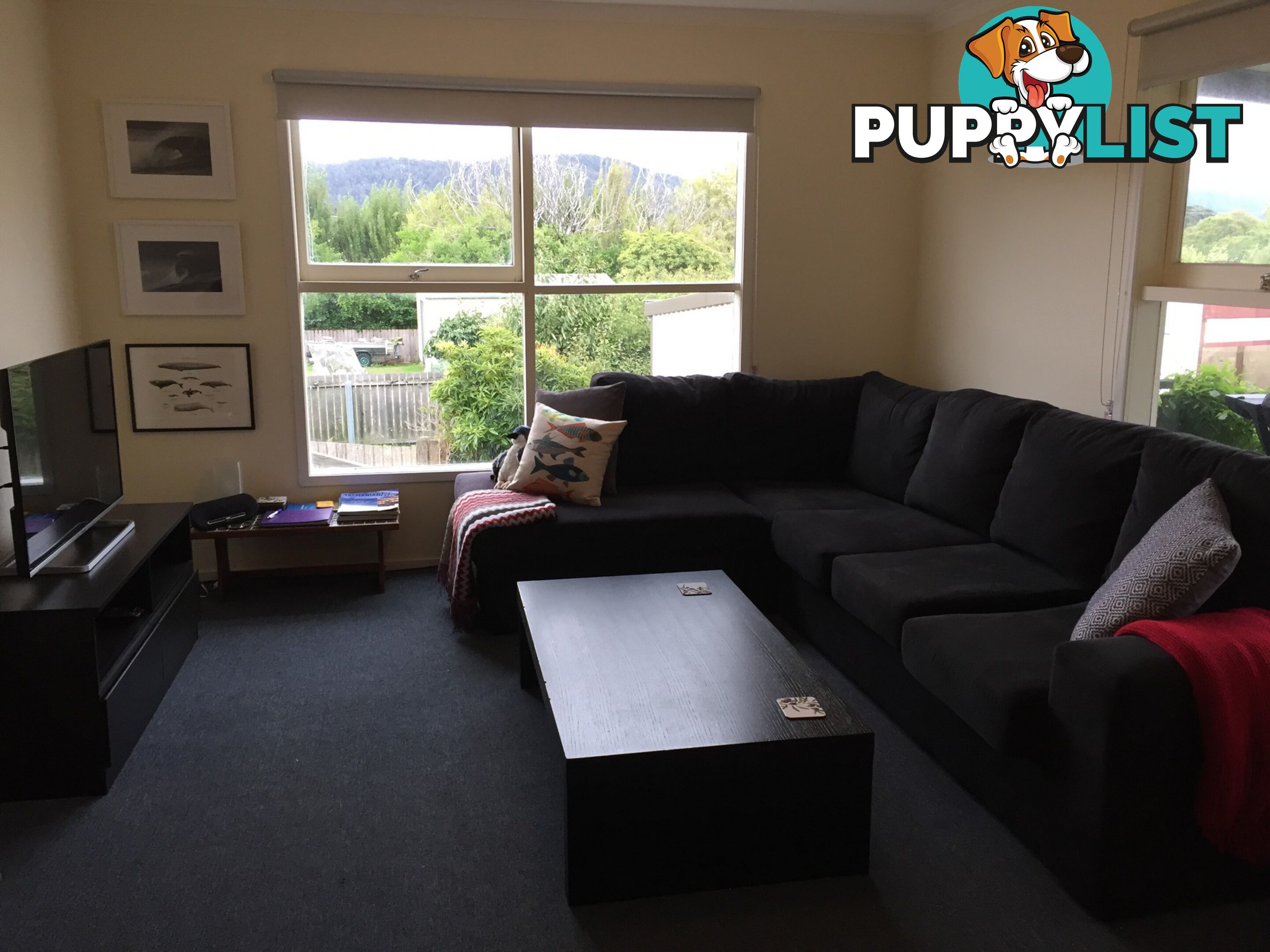 7 Fraser Street BICHENO TAS 7215