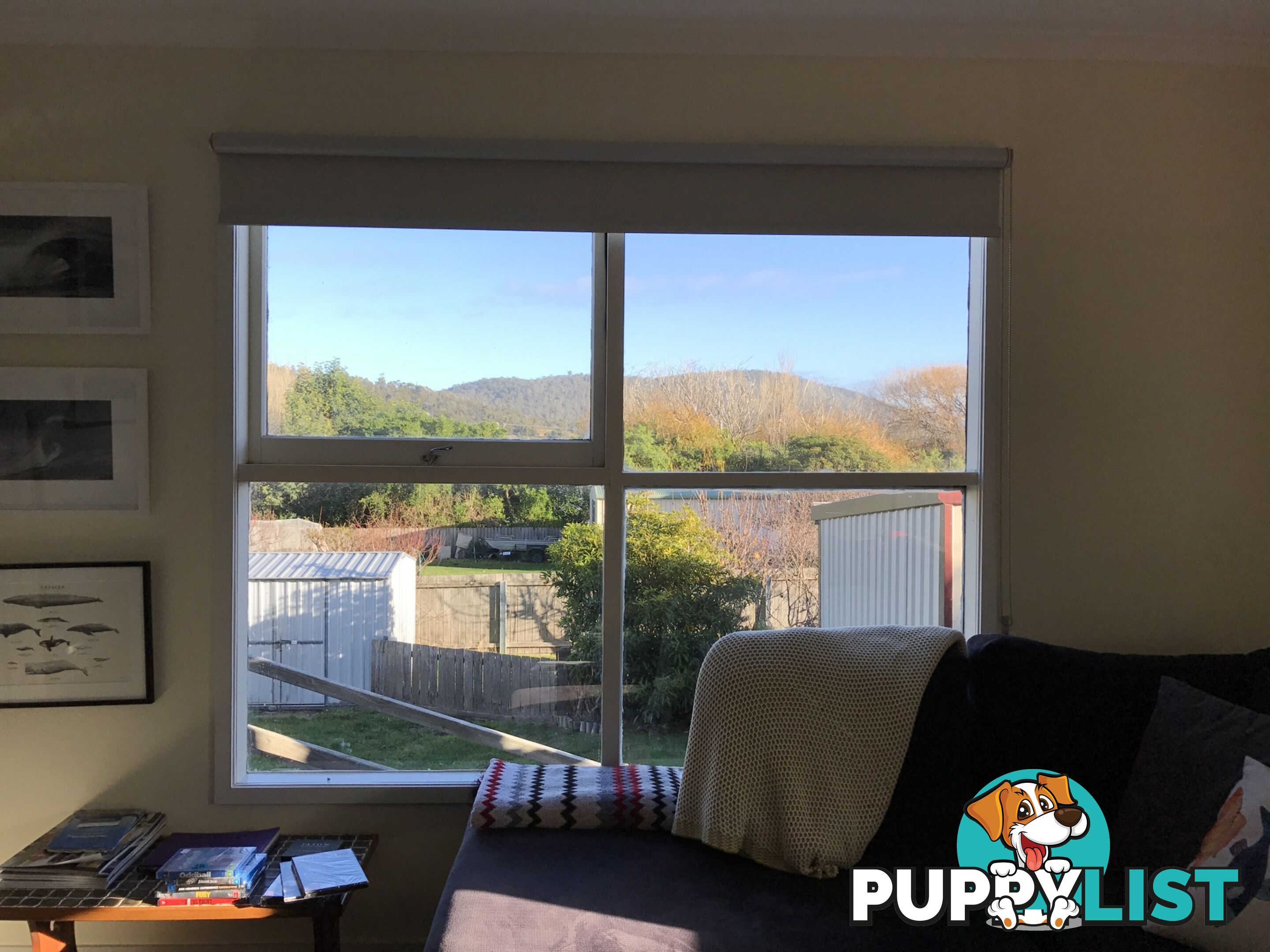 7 Fraser Street BICHENO TAS 7215