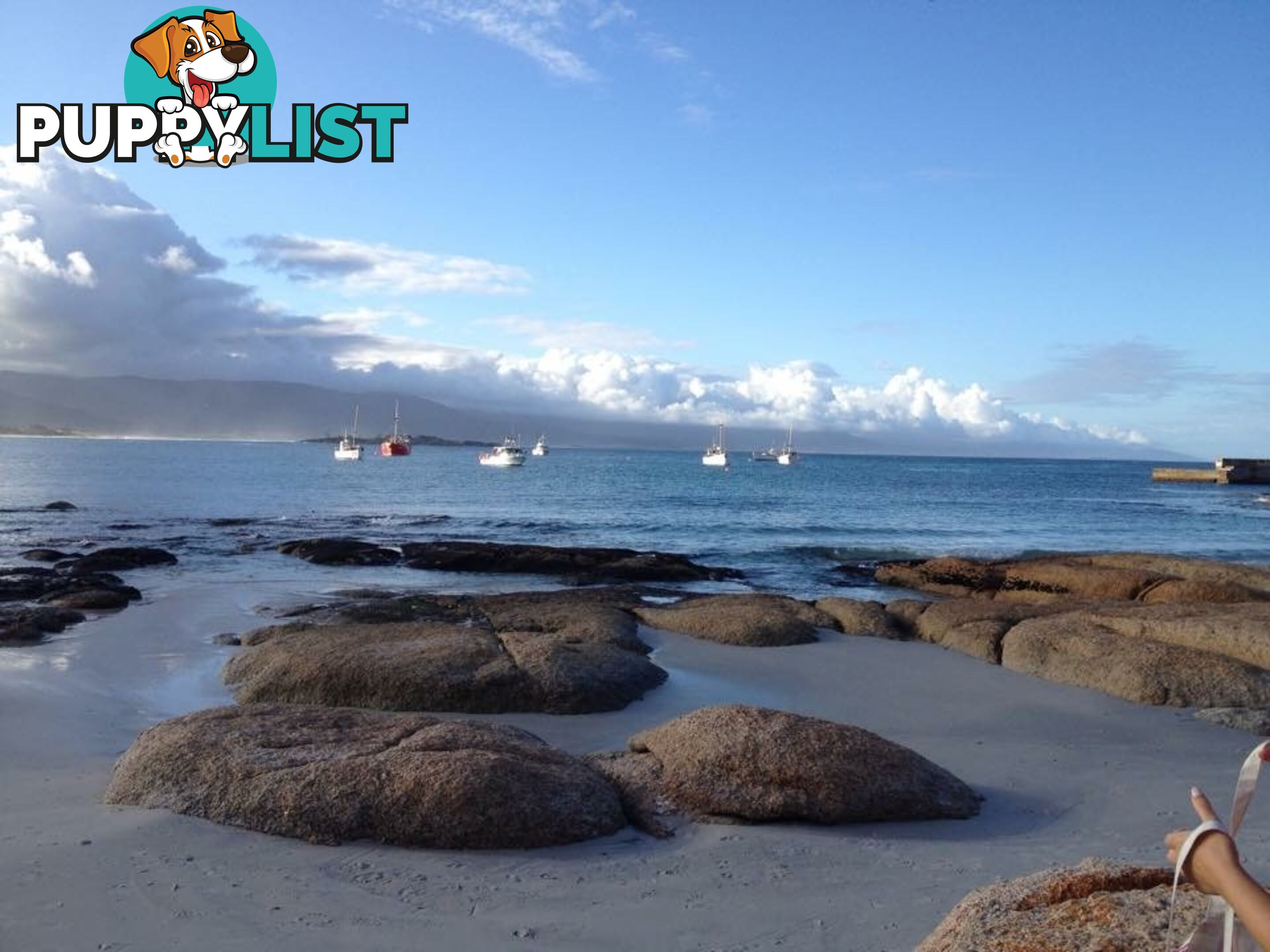 7 Fraser Street BICHENO TAS 7215