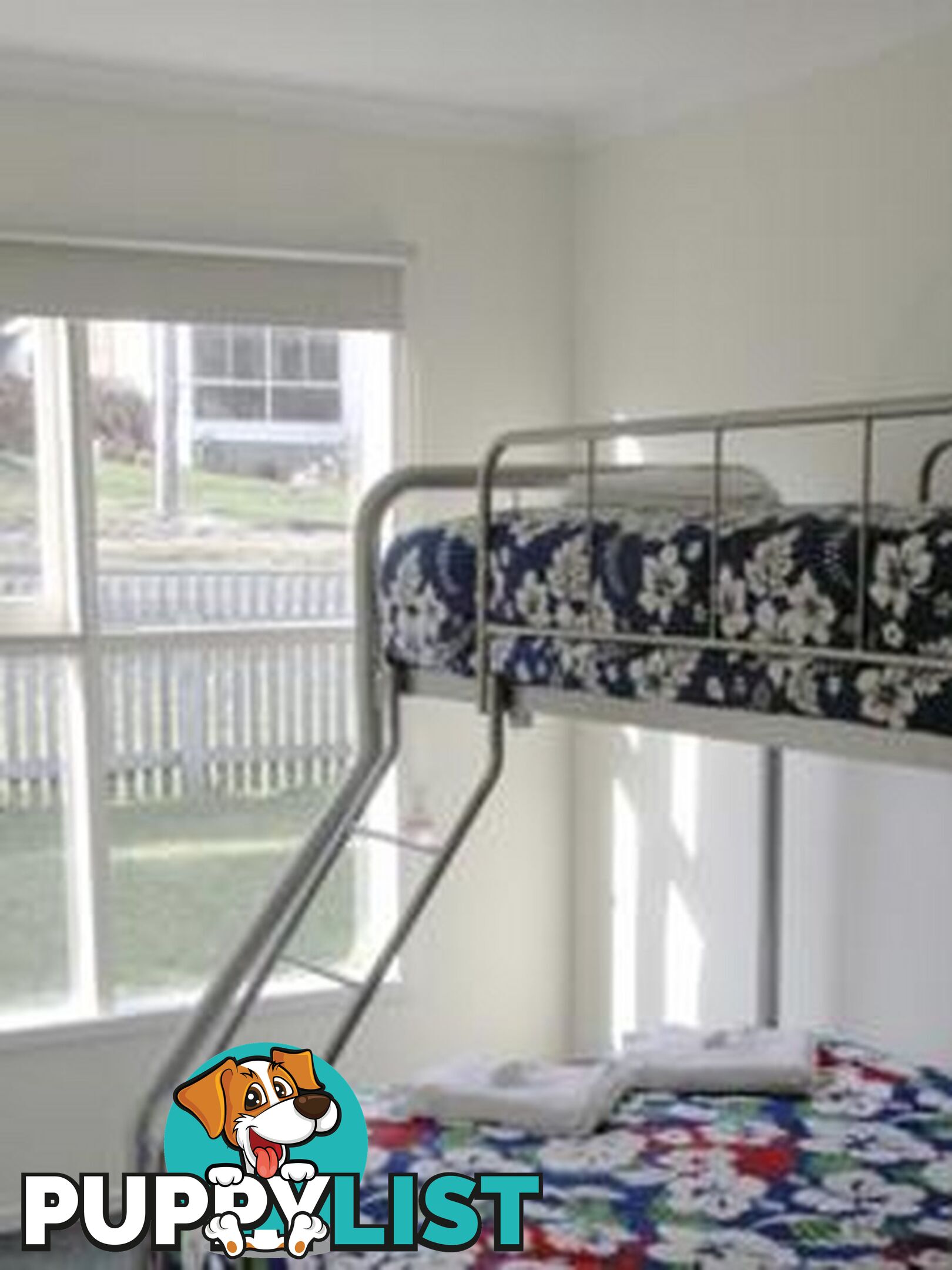 7 Fraser Street BICHENO TAS 7215