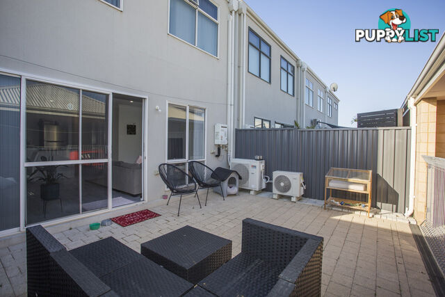 8 Amity Lane Ellenbrook WA 6069