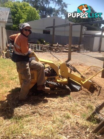 STUMP GRINDING & TREE SERVICES