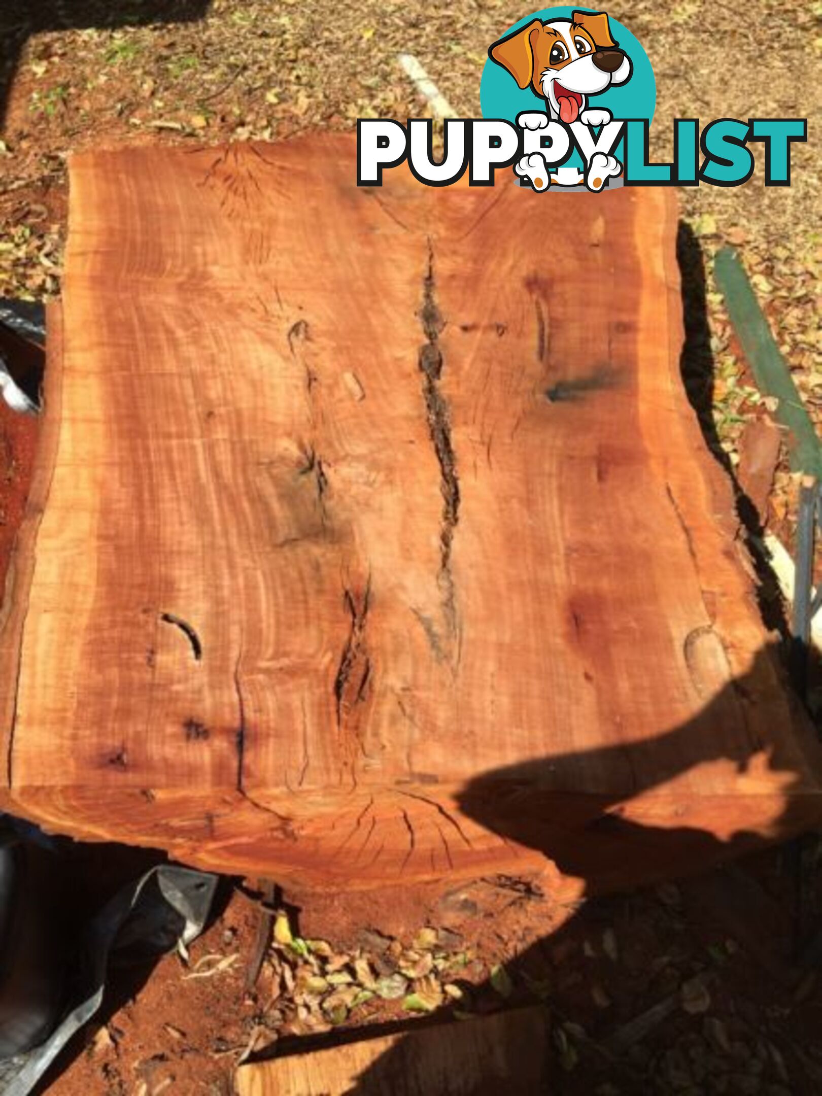 Taking orders for Redgum slabs ect