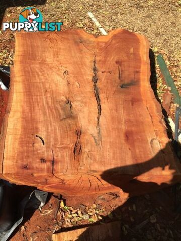 Taking orders for Redgum slabs ect