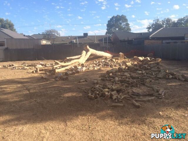 FIREWOOD FOR SALE