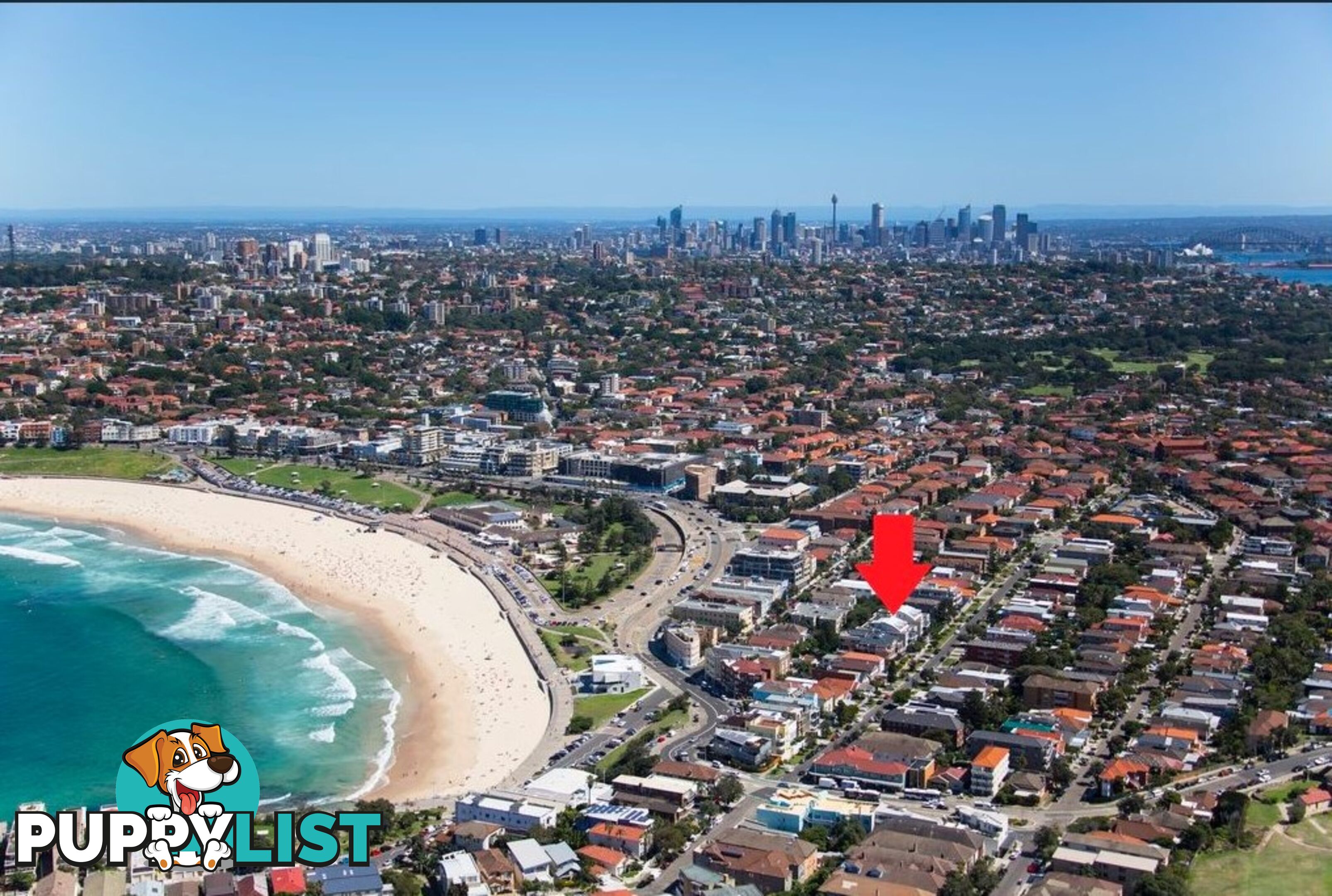 1/65-75 Brighton Boulevard BONDI BEACH NSW 2026