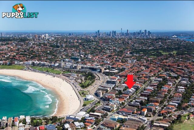 1/65-75 Brighton Boulevard BONDI BEACH NSW 2026