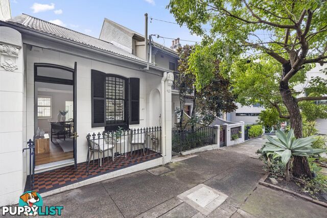 44 Hopewell Street PADDINGTON NSW 2021