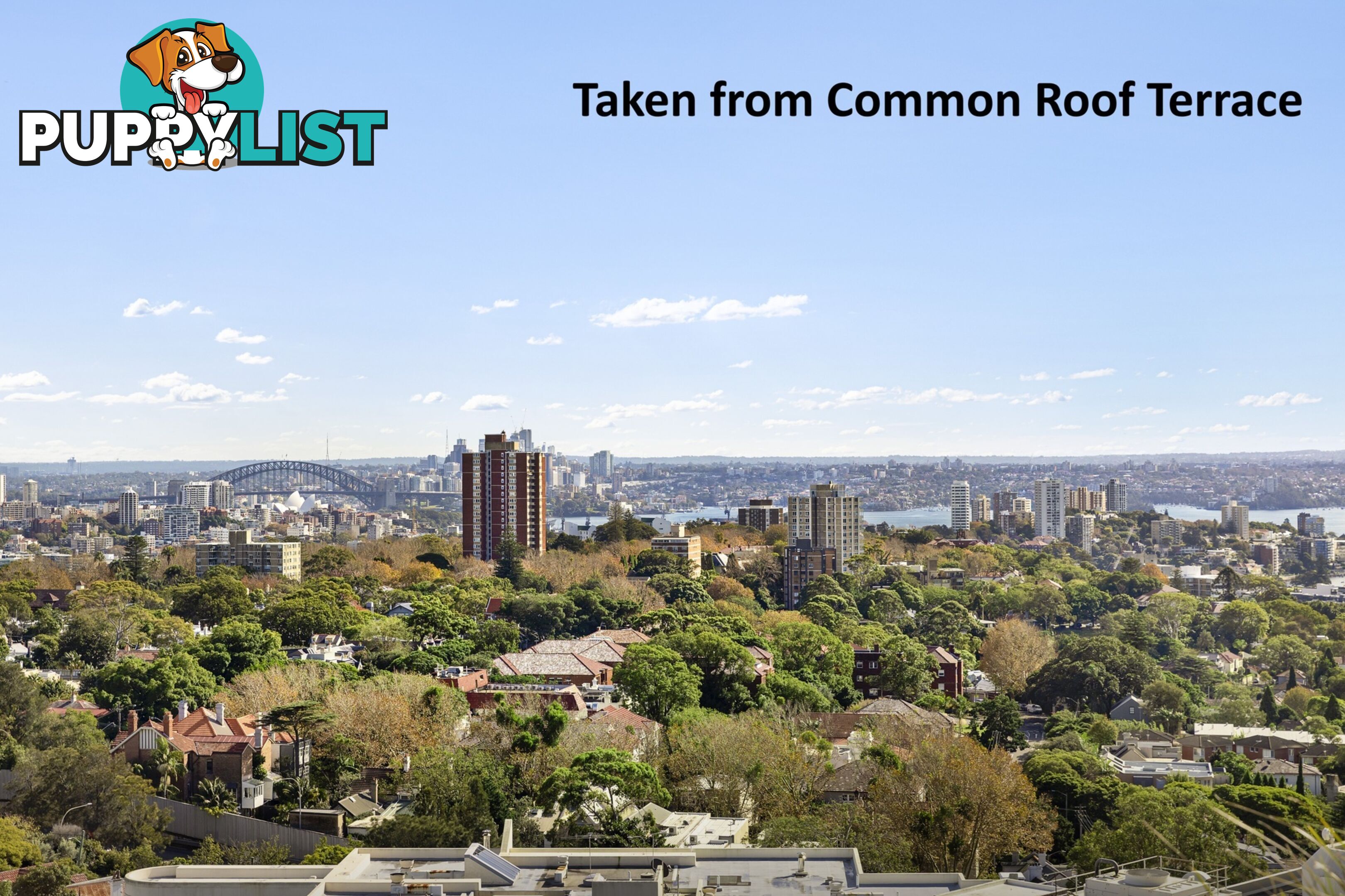 402/59 Oxford Street BONDI JUNCTION NSW 2022