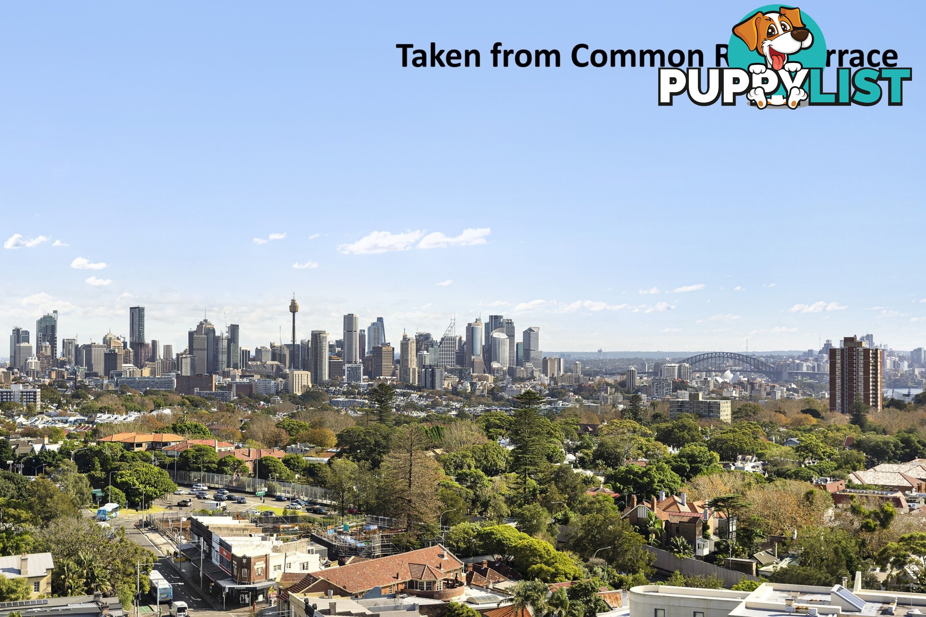 402/59 Oxford Street BONDI JUNCTION NSW 2022