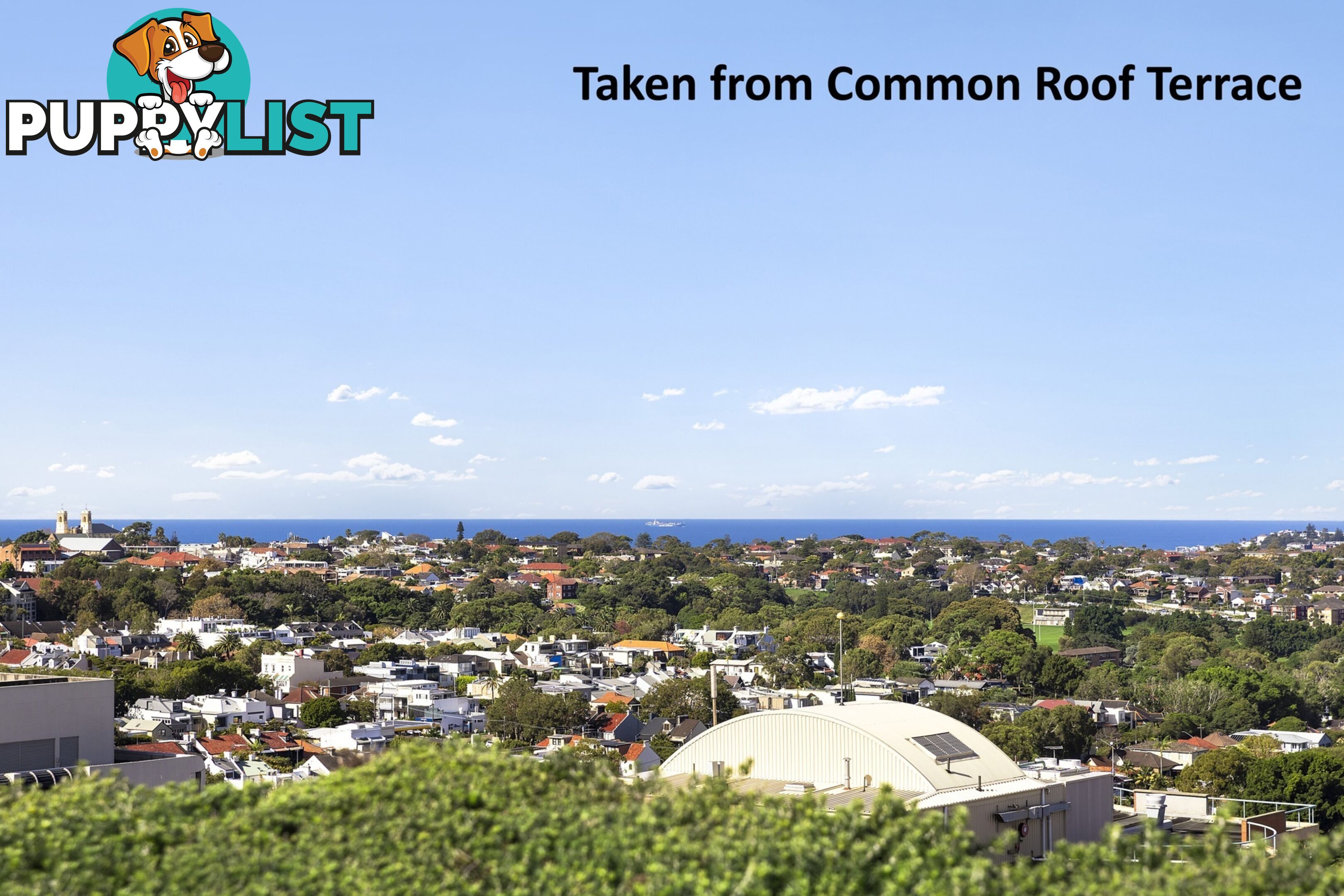 402/59 Oxford Street BONDI JUNCTION NSW 2022