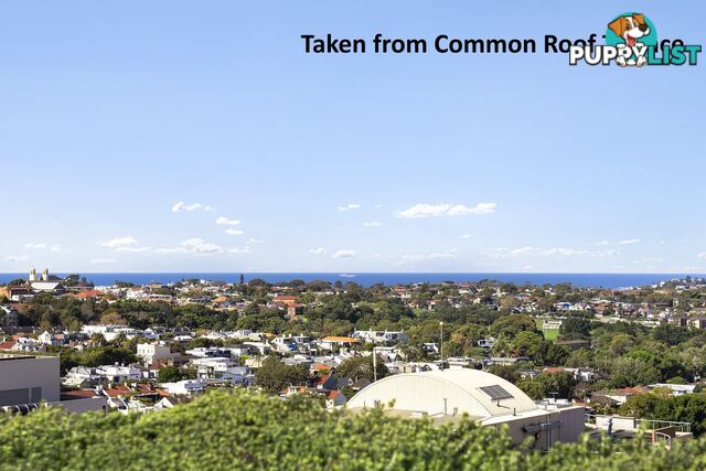 402/59 Oxford Street BONDI JUNCTION NSW 2022