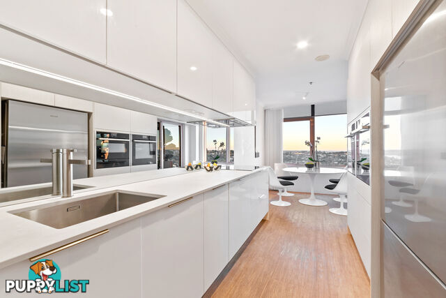 1302/81 Grafton Street BONDI JUNCTION NSW 2022