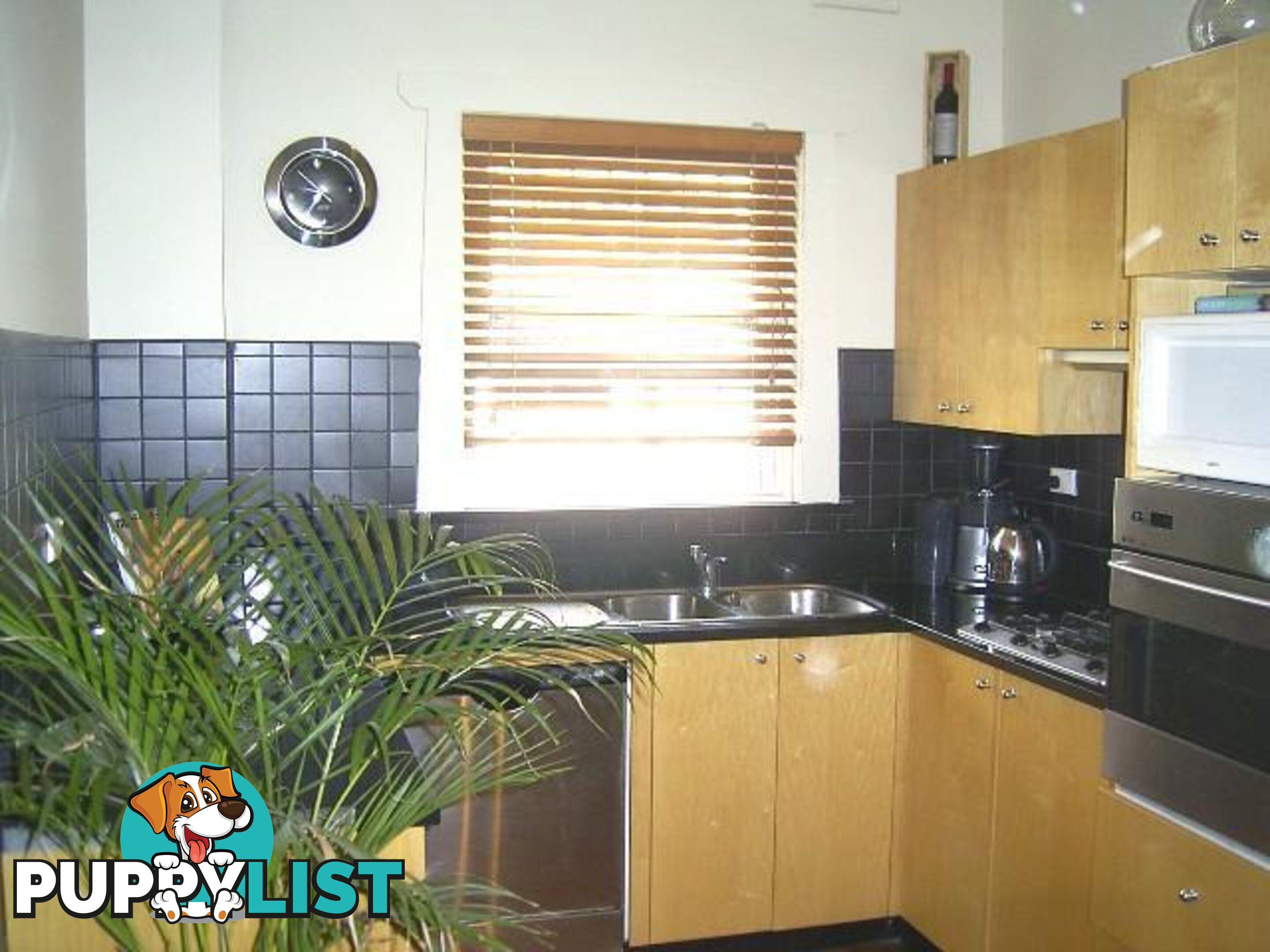 5/93 Curlewis Street BONDI BEACH NSW 2026
