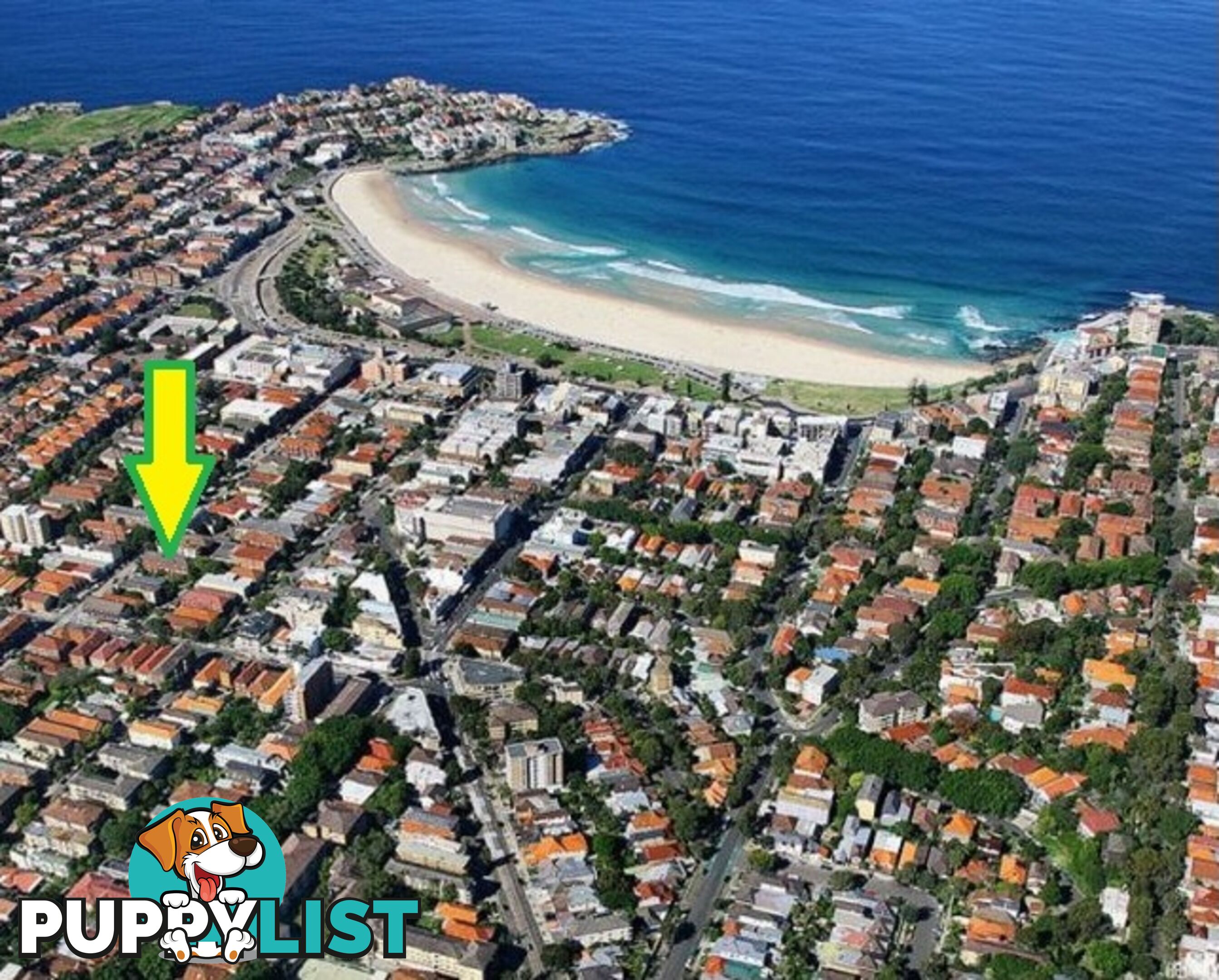 5/93 Curlewis Street BONDI BEACH NSW 2026