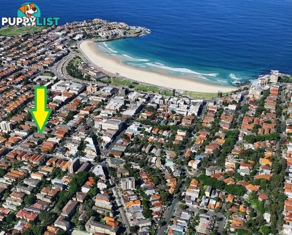 5/93 Curlewis Street BONDI BEACH NSW 2026