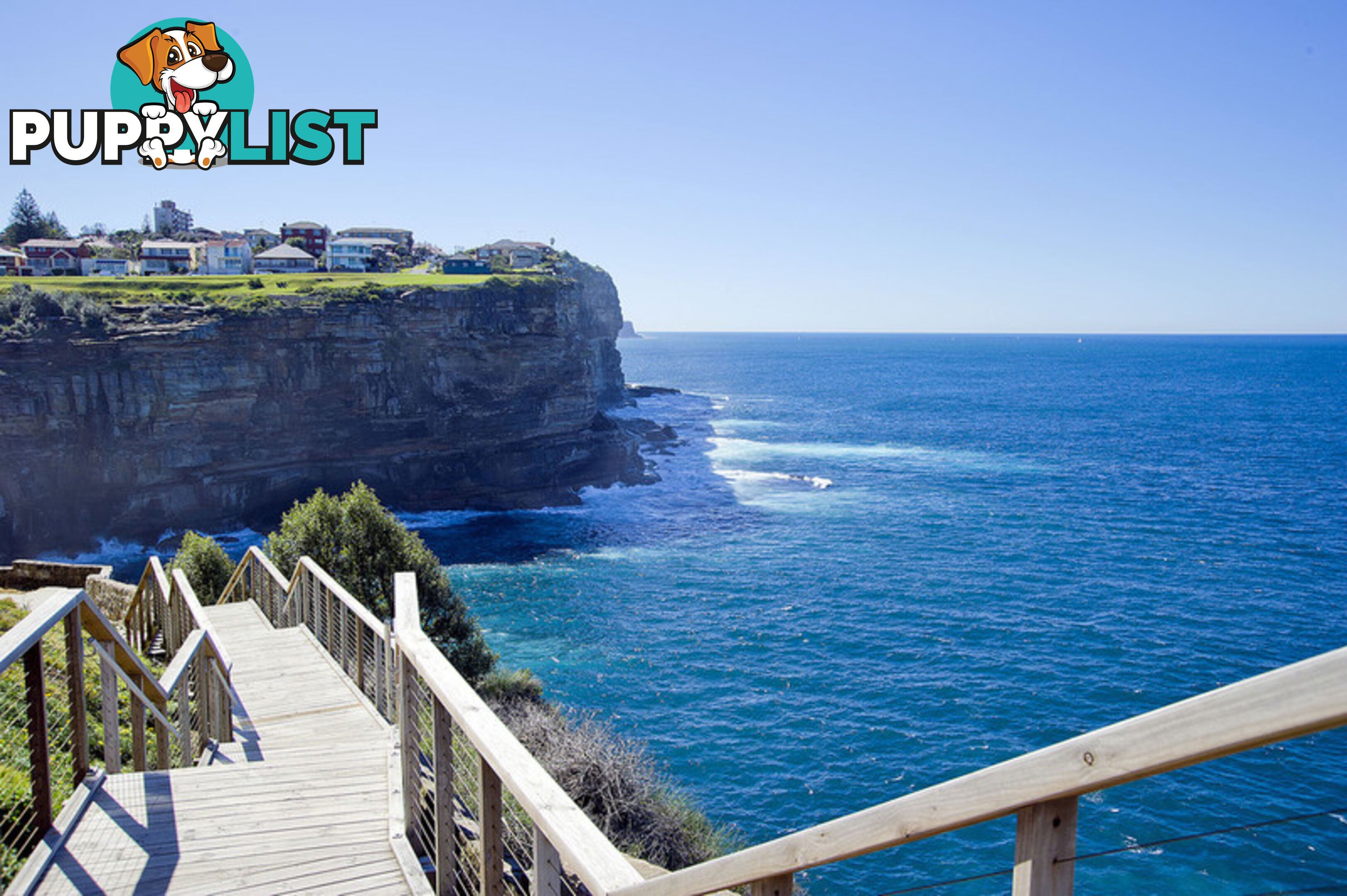 11/16 Diamond Bay Road VAUCLUSE NSW 2030