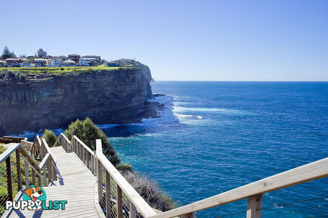 11/16 Diamond Bay Road VAUCLUSE NSW 2030