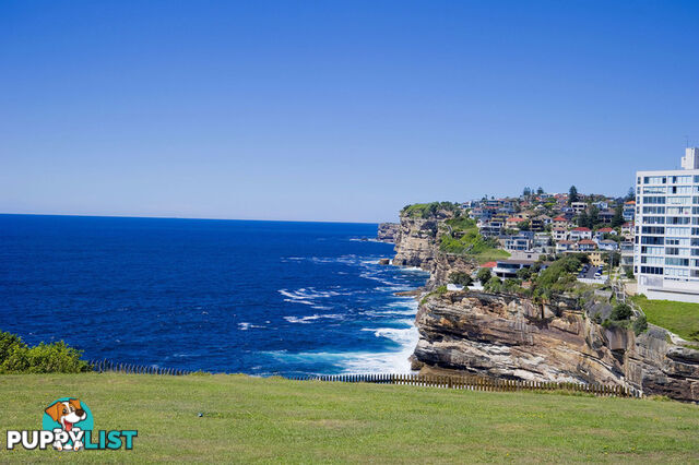 11/16 Diamond Bay Road VAUCLUSE NSW 2030