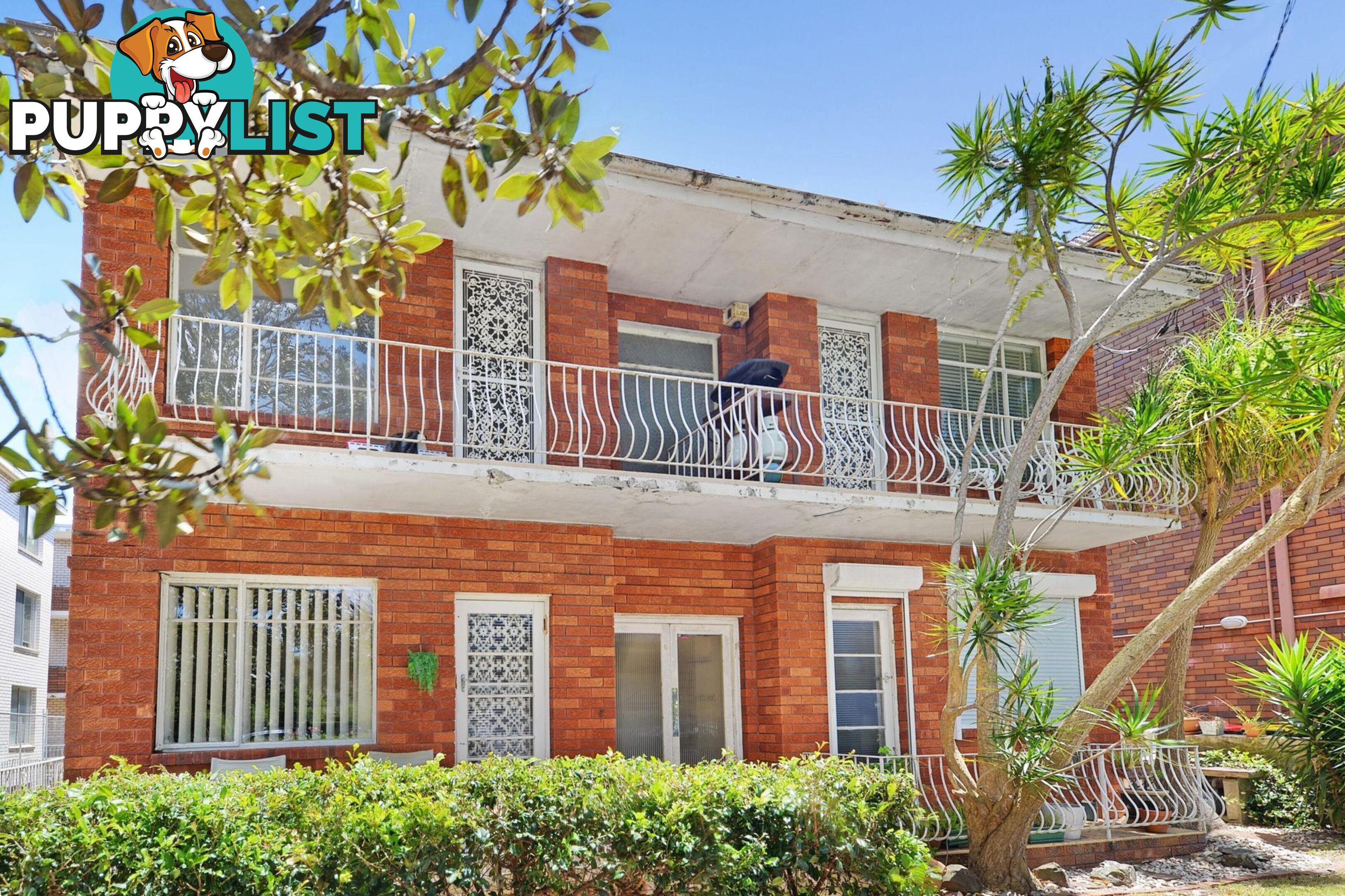 3/6 Abbey Street RANDWICK NSW 2031