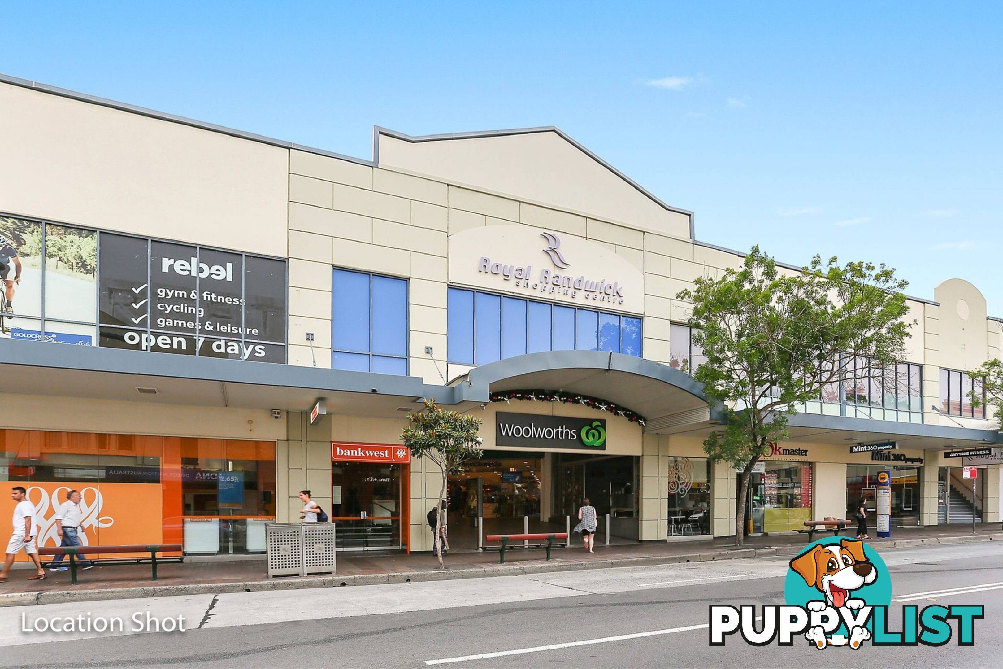 3/6 Abbey Street RANDWICK NSW 2031