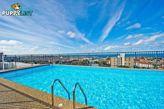 809/212 Bondi Road BONDI NSW 2026