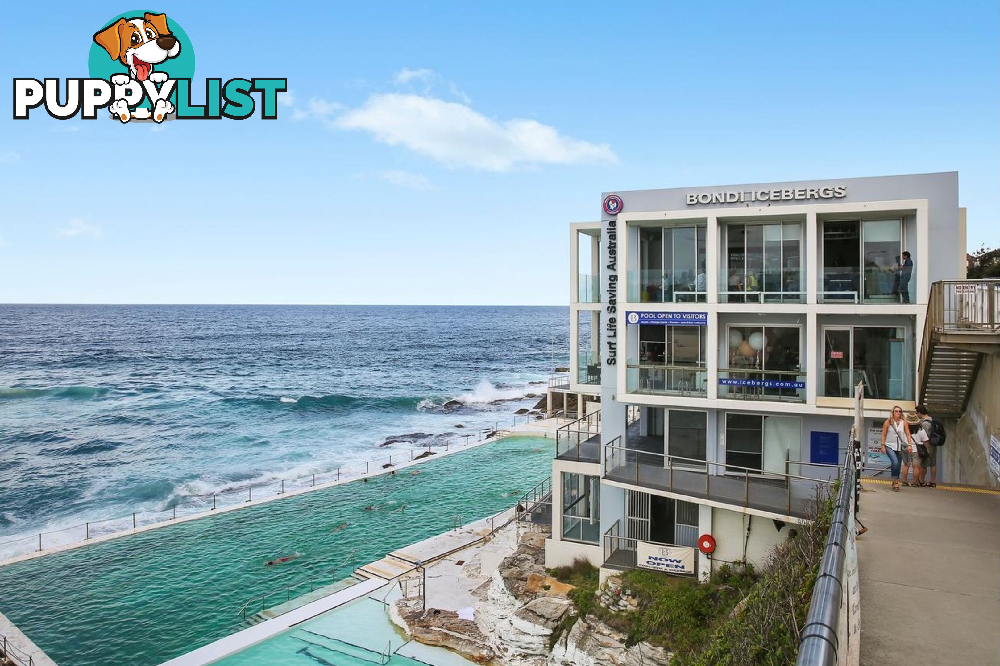 809/212 Bondi Road BONDI NSW 2026