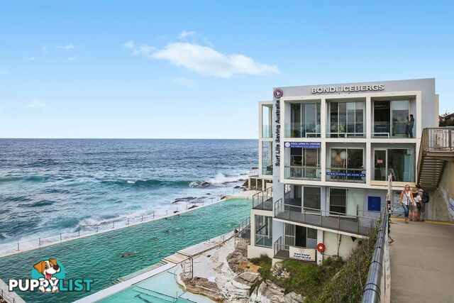 809/212 Bondi Road BONDI NSW 2026