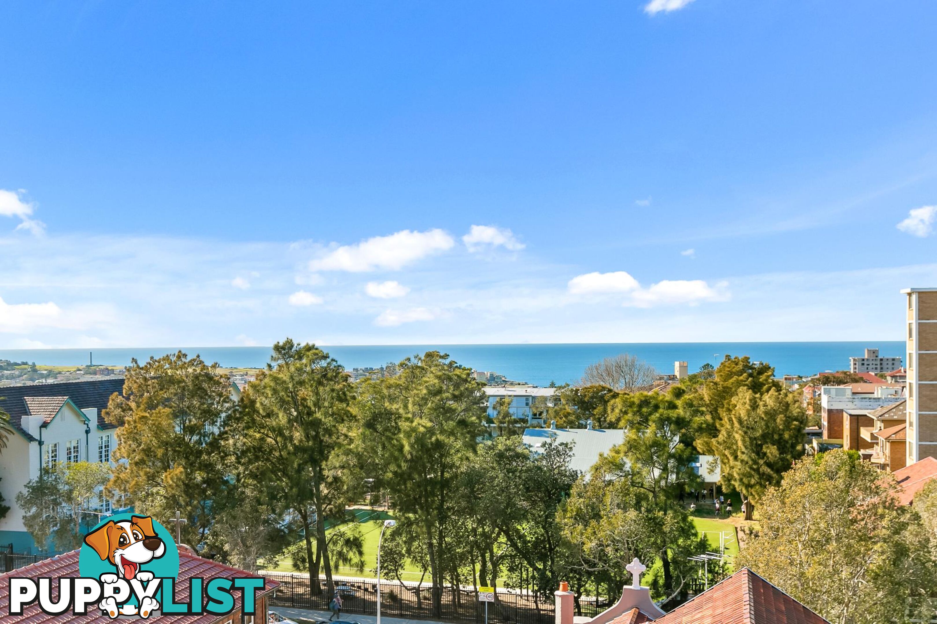 809/212 Bondi Road BONDI NSW 2026