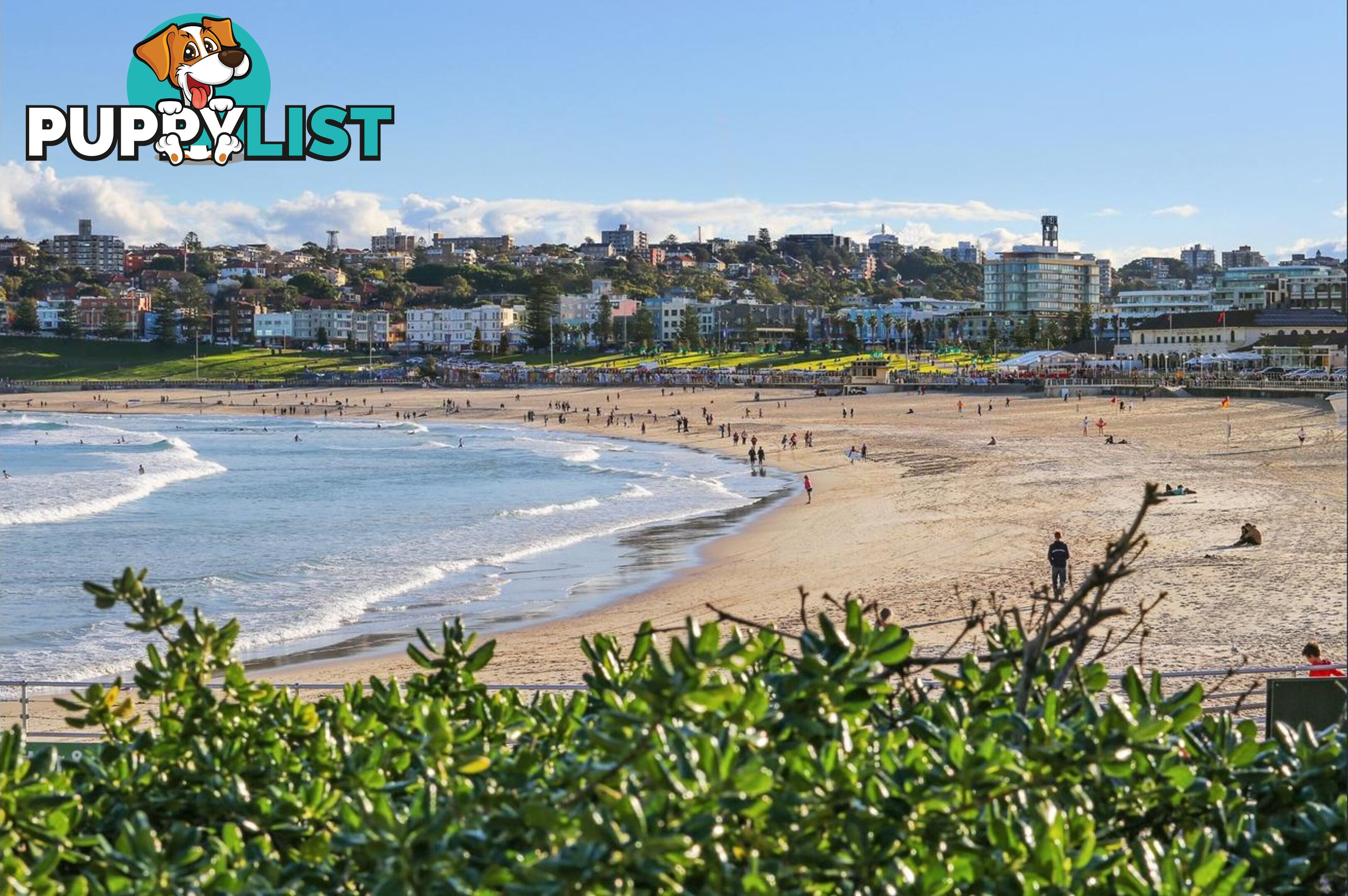 809/212 Bondi Road BONDI NSW 2026