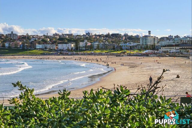 809/212 Bondi Road BONDI NSW 2026