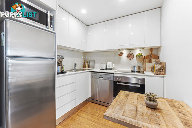417/67-69 Belmore Road RANDWICK NSW 2031