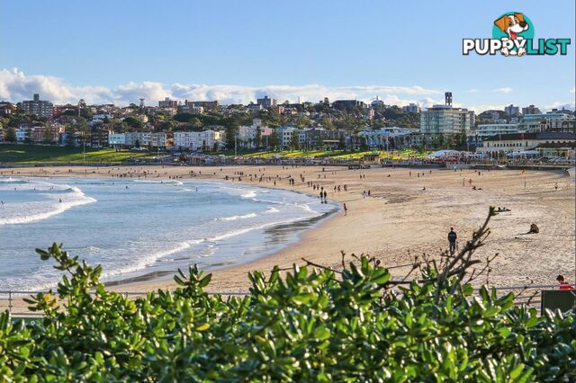 3/96 Hall Street BONDI BEACH NSW 2026