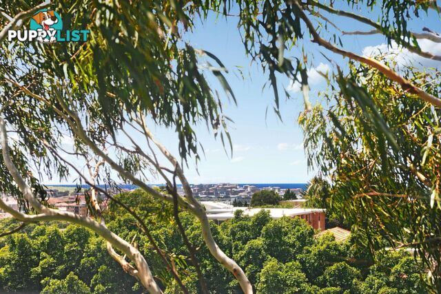 11/65 Birriga Road BELLEVUE HILL NSW 2023