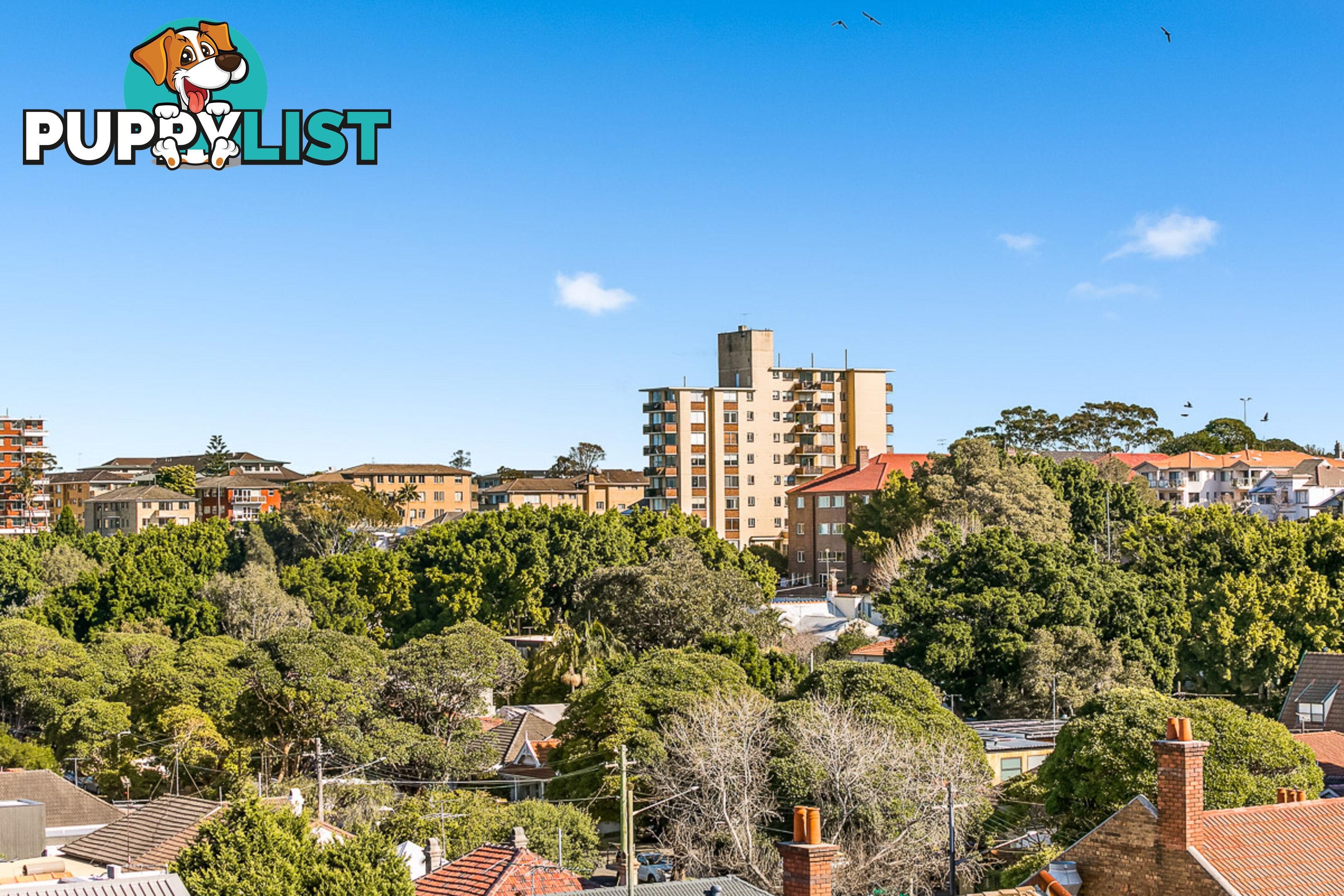 701/212 Bondi Road BONDI NSW 2026