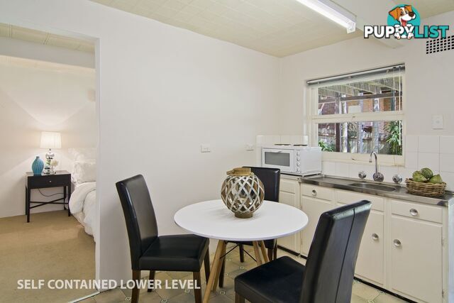 7 Ormond Street BONDI BEACH NSW 2026