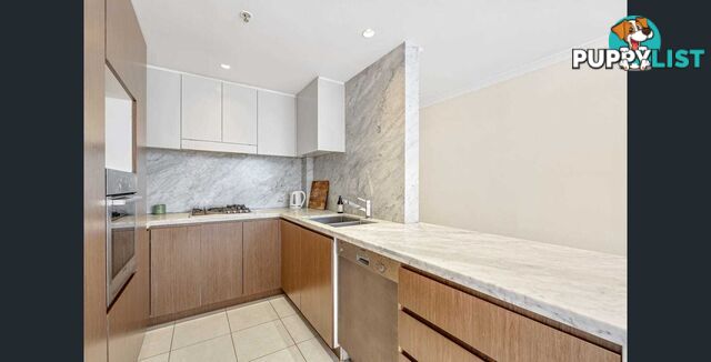 14/17-23 Newland Street BONDI JUNCTION NSW 2022