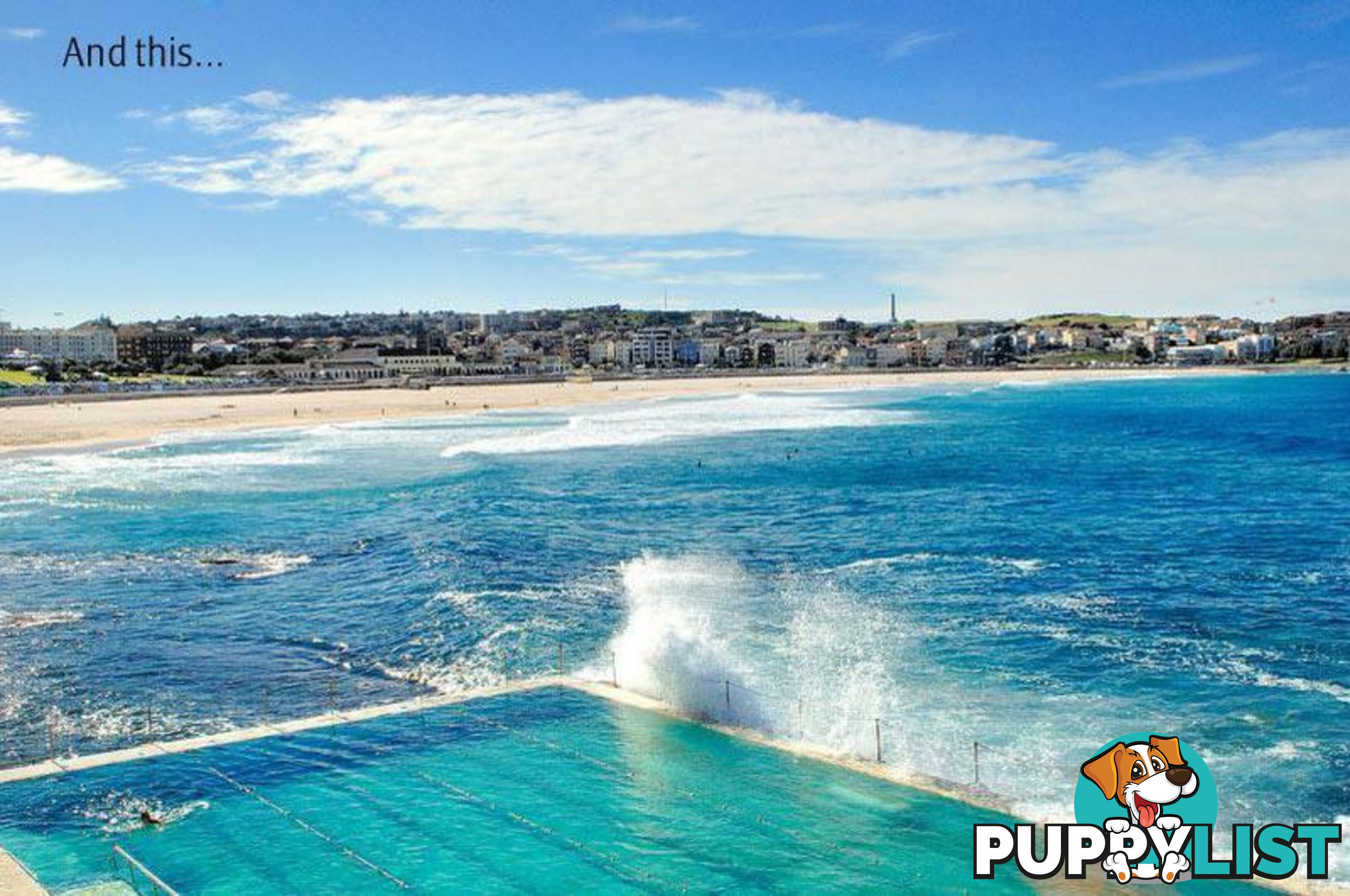 1/13 Roscoe Street BONDI NSW 2026