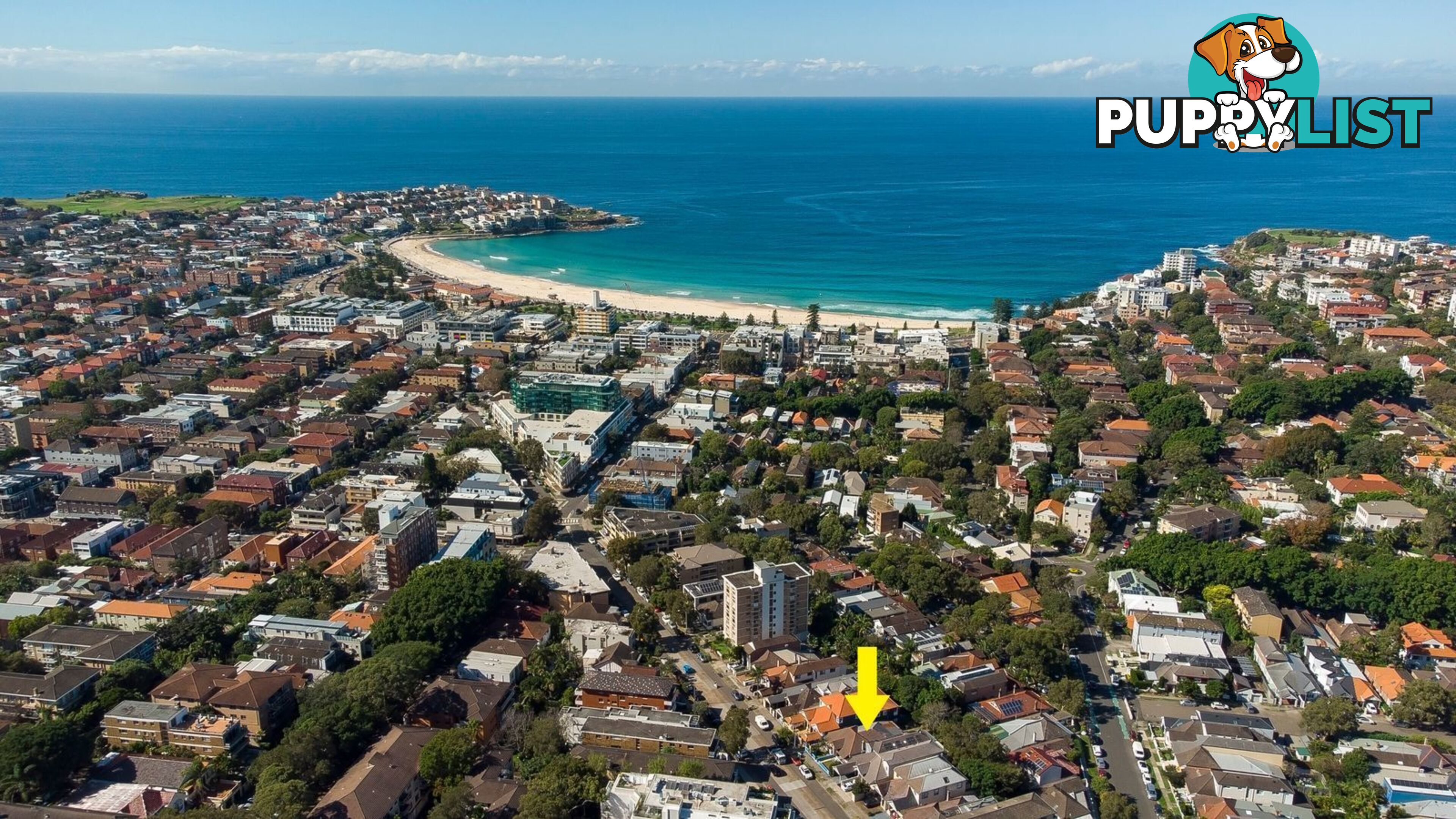 64 Obrien Street BONDI BEACH NSW 2026
