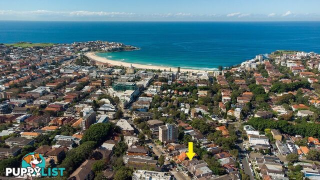 64 Obrien Street BONDI BEACH NSW 2026