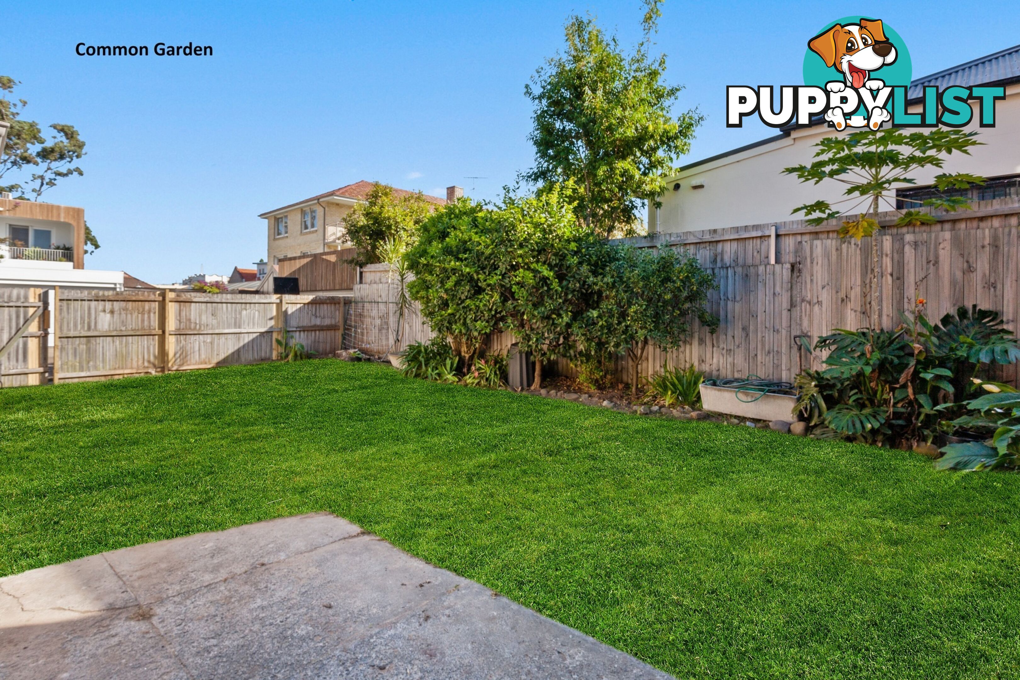3/5 Brae Street BRONTE NSW 2024