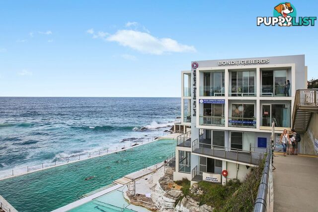 10/285-295 Bondi Road BONDI NSW 2026