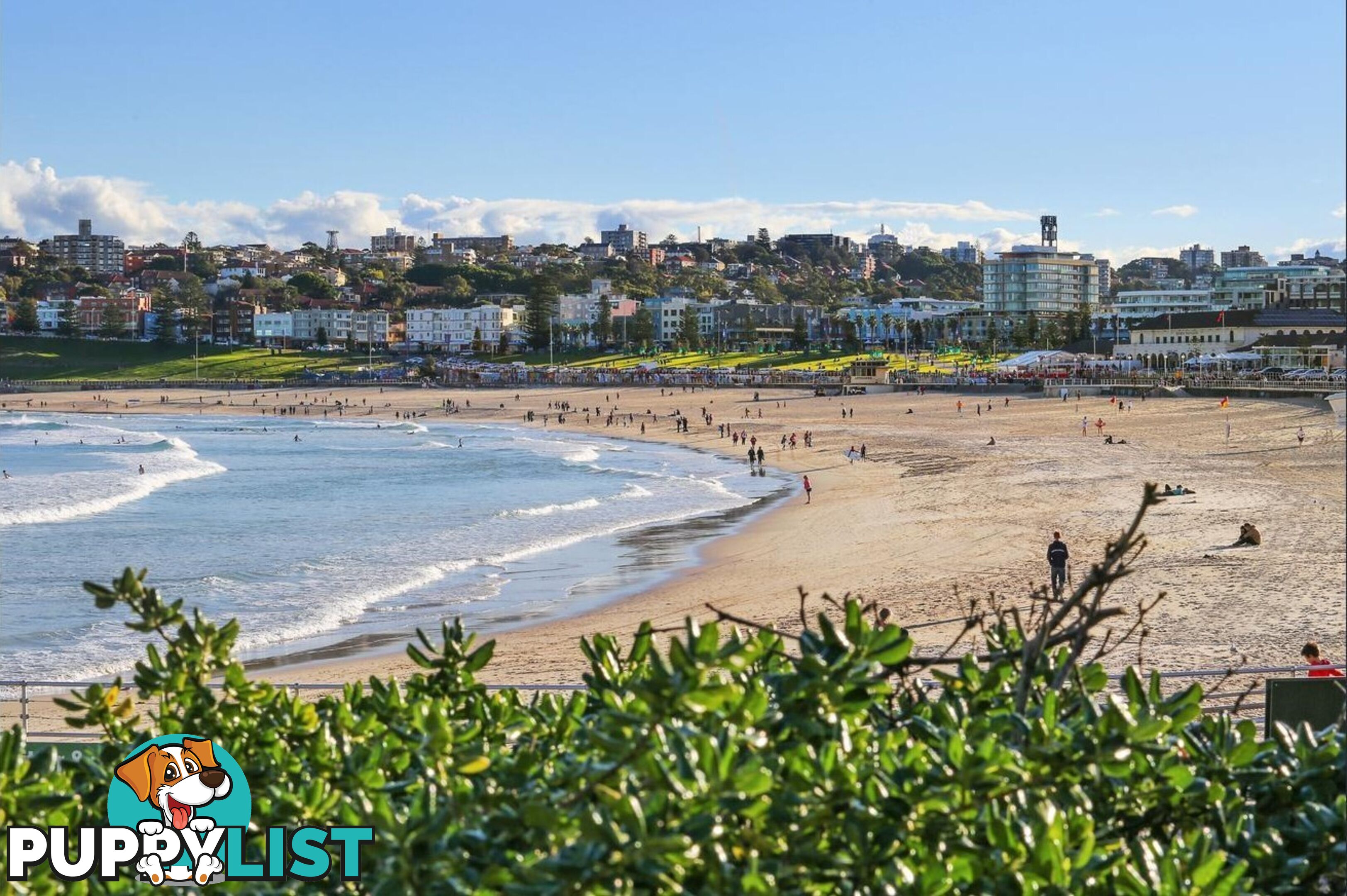 10/285-295 Bondi Road BONDI NSW 2026